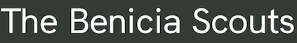 beniciascoutsgreen.jpg