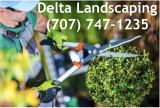 https://www.facebook.com/Delta-Landscaping-Maintenance-1549918688587295/